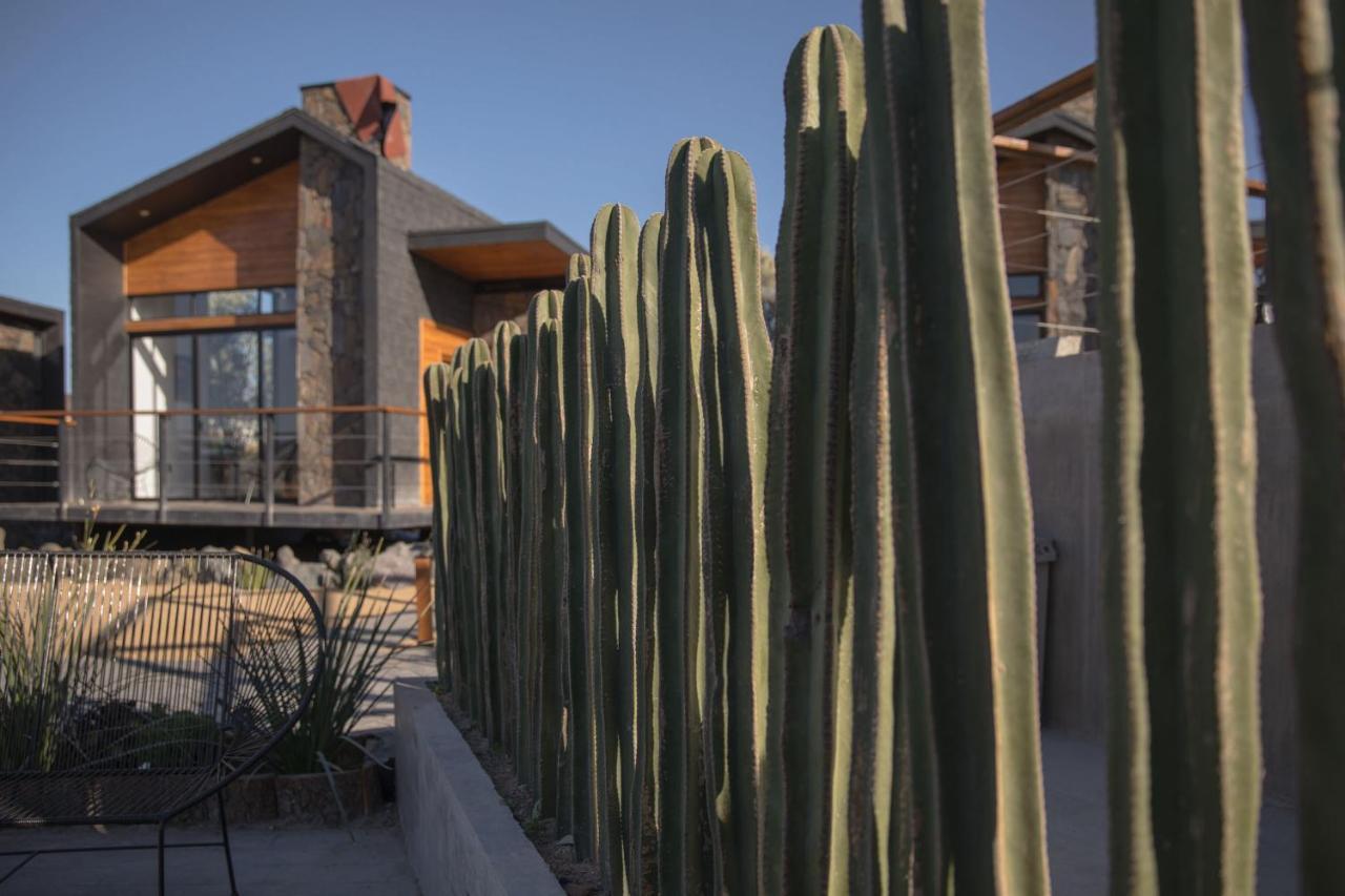 Sirius Valle Valle de Guadalupe Exteriör bild